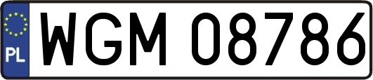 WGM08786