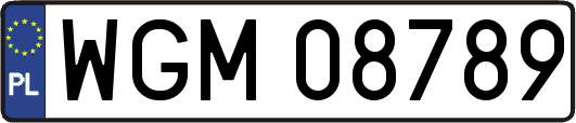 WGM08789
