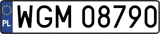 WGM08790