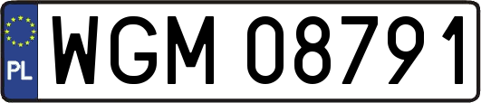 WGM08791