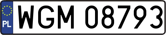 WGM08793