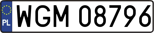 WGM08796