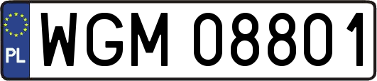 WGM08801