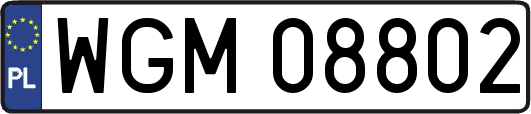 WGM08802