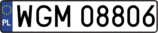 WGM08806