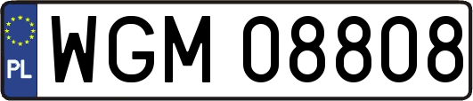 WGM08808