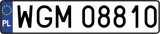 WGM08810