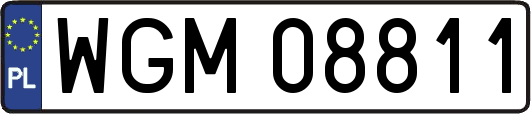 WGM08811