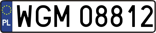WGM08812