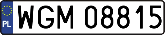 WGM08815