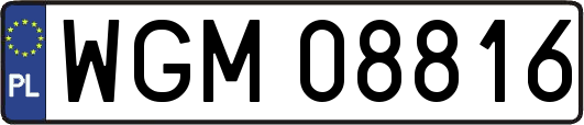 WGM08816