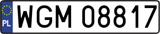 WGM08817