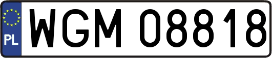 WGM08818