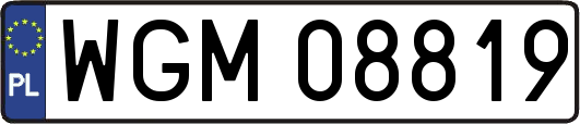 WGM08819