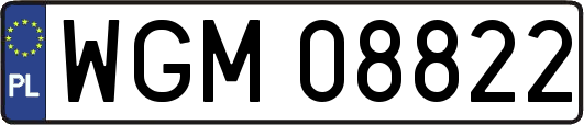 WGM08822