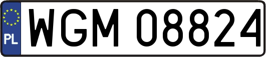 WGM08824