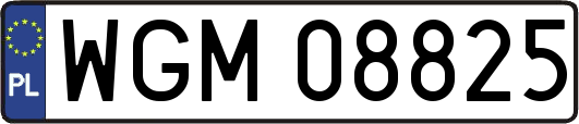 WGM08825
