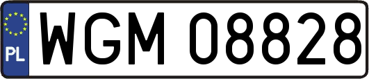 WGM08828