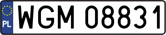 WGM08831