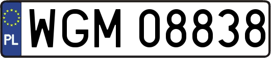 WGM08838