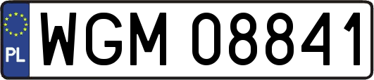 WGM08841