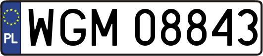 WGM08843