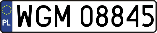 WGM08845