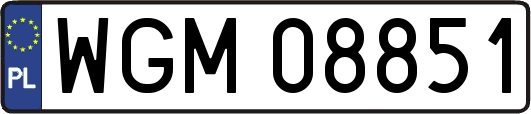 WGM08851