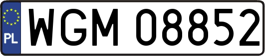 WGM08852