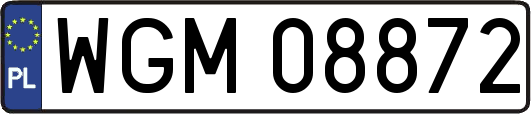 WGM08872