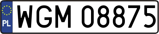 WGM08875