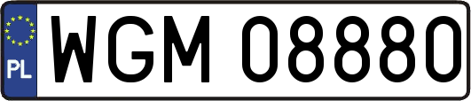 WGM08880