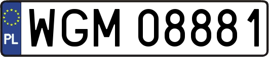 WGM08881