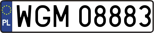 WGM08883