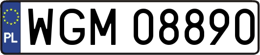 WGM08890