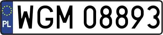WGM08893