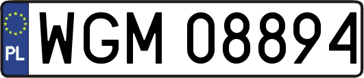 WGM08894