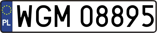 WGM08895