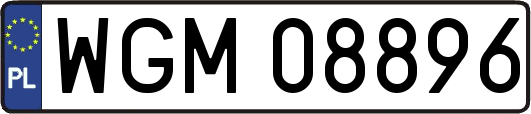 WGM08896