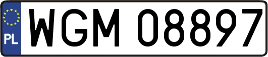 WGM08897