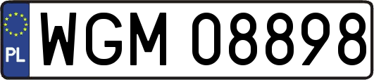 WGM08898