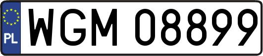 WGM08899