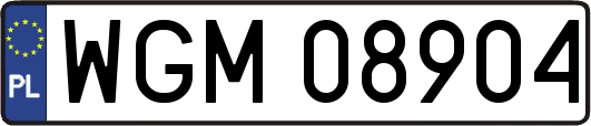 WGM08904