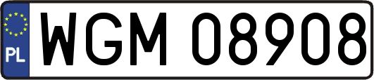 WGM08908