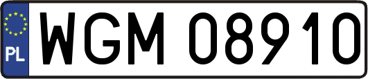 WGM08910