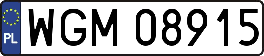 WGM08915
