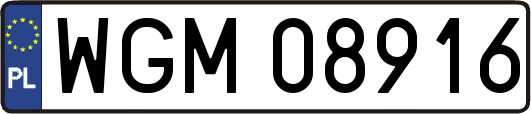WGM08916