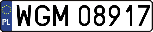 WGM08917