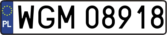 WGM08918
