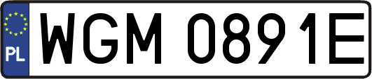 WGM0891E